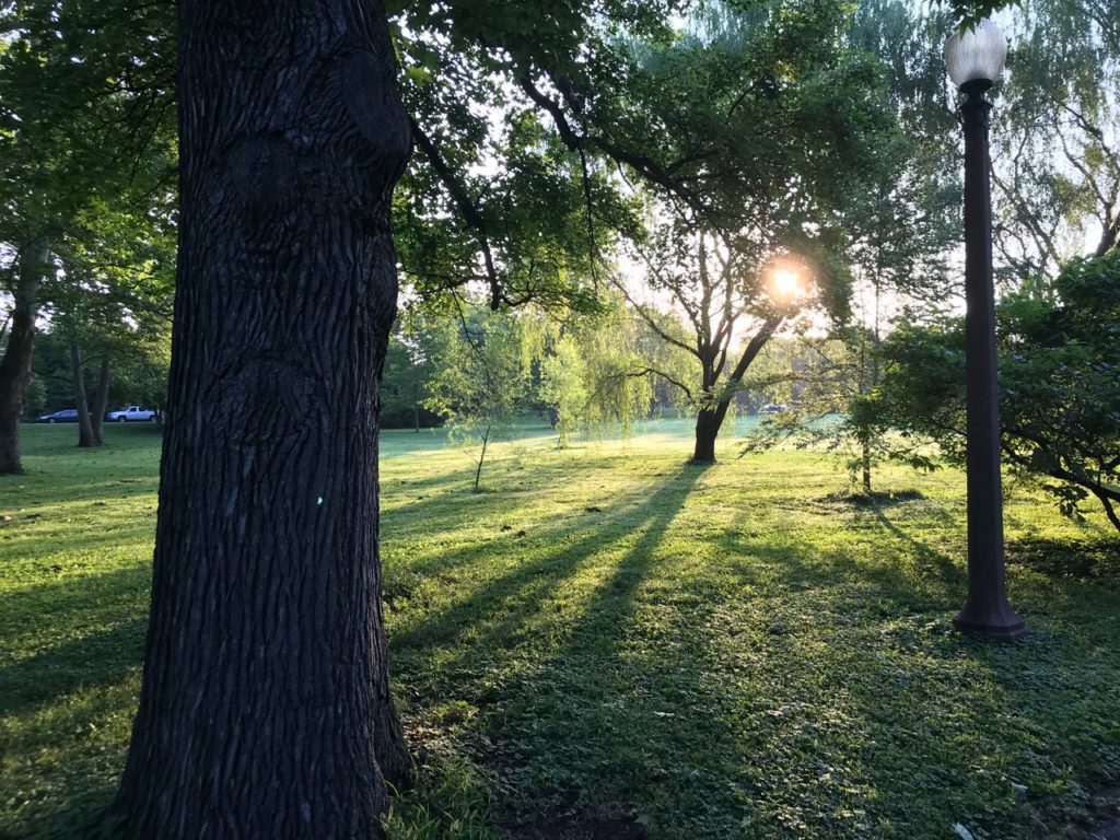 Photo of sunrise in Tower Grove Park, July 2019